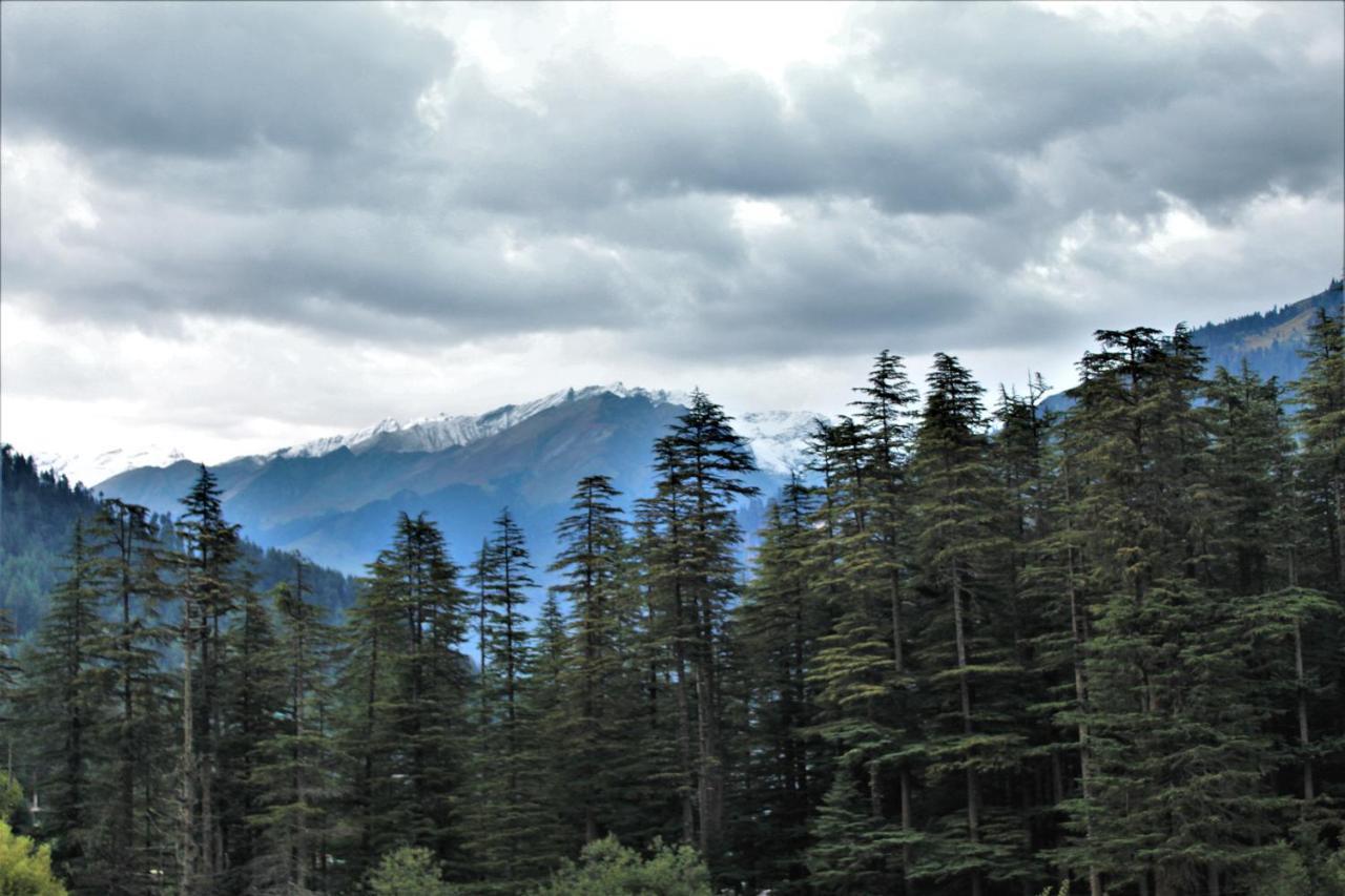 Nirvana Hills Manali (Himachal Pradesh) Ngoại thất bức ảnh